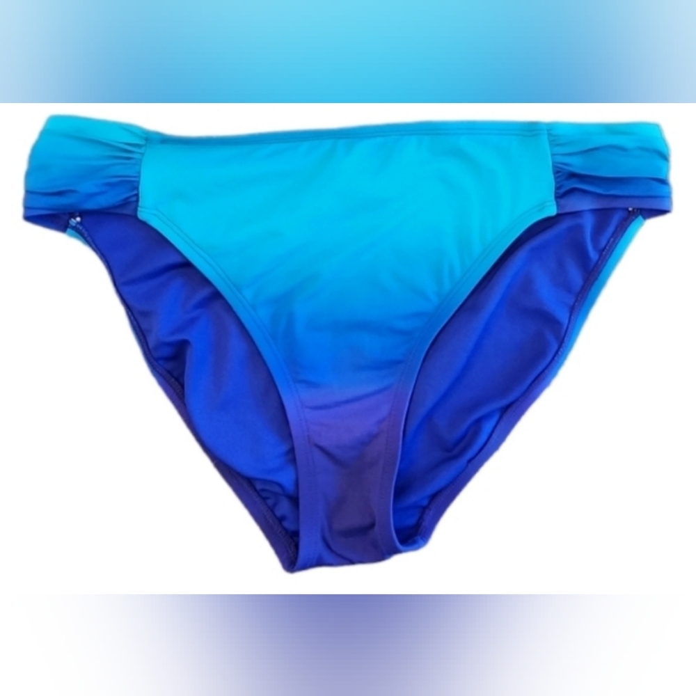 Bleu Rod Beattie Swim blue purple ombre  bottoms sz 10 excellent pre-owned